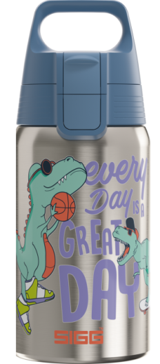 Shield One Great Day 0.5L
