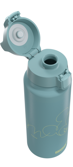 WMB One Mickey Mouse Lines 1L