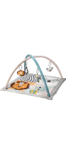 NUBY ANIMAL PLAY GYM 0M+